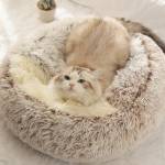Latest pet beds and mats Profile Picture