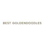Best Goldendoodles Profile Picture