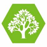 Mcauley Tree Surgery profile picture