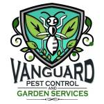 vanguard544 profile picture