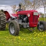 Mahira Kaur Profile Picture