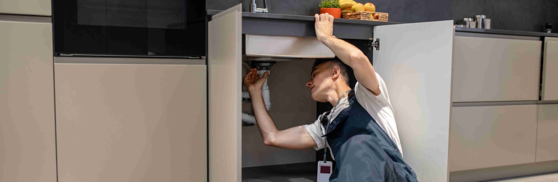 Book The Plumber Cover Image