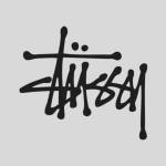 stussy Outfit Profile Picture