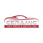 Ceramic Tint Pros And Detailing llc Profile Picture