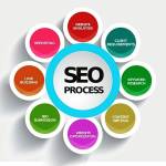 SEO Expert Profile Picture