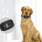 Pet Training Collar Profile Picture