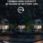 Campin Lantern Profile Picture