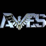 avessecurity managementsystem profile picture