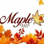 Maple Grand Profile Picture