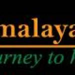 Himalayan edge Profile Picture