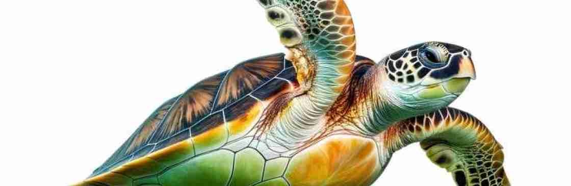 K Honu Cover Image