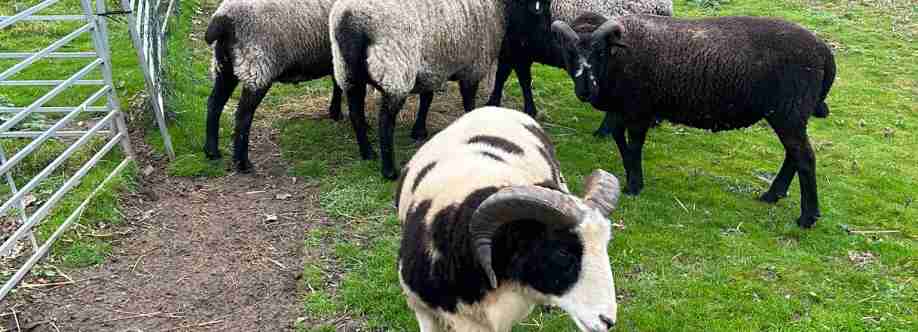 Peter Grubisic Cover Image