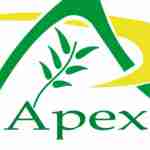 apex herbex Profile Picture