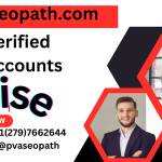Buy Verified Wise Accounts Profile Picture