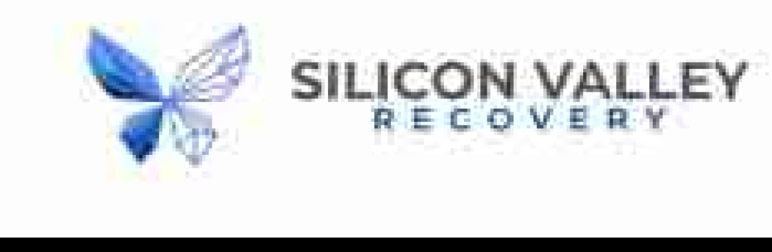 Silicon Valley Recovery Cover Image