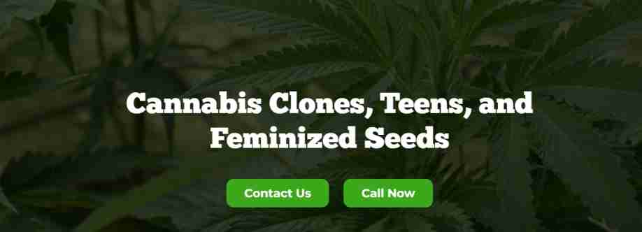 The Clone Conservatory Cover Image