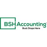 bsh accounting Profile Picture