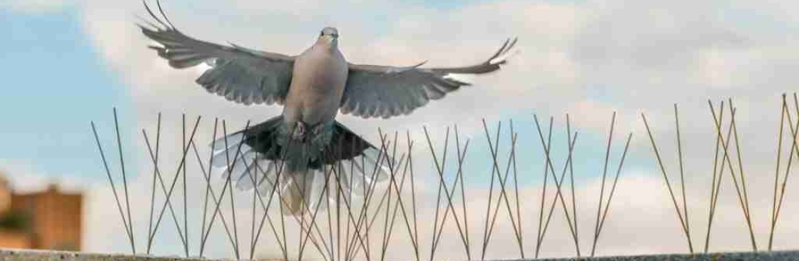 Defence Birdnet Cover Image