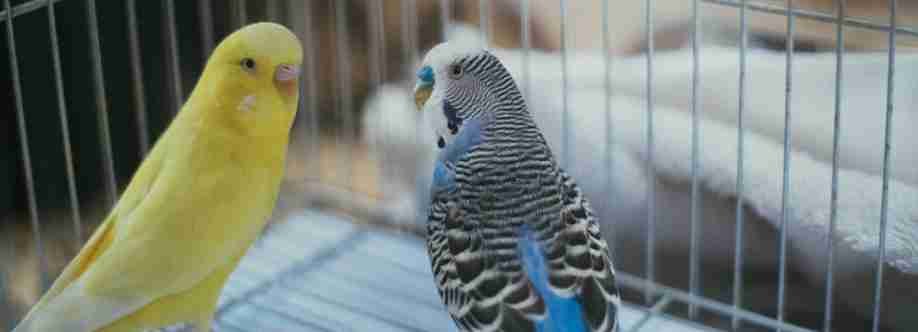 The Groomer Pet Salon Cover Image