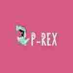 P REX Hobby Profile Picture