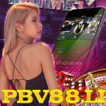 Nha CAi Pbv88 Profile Picture