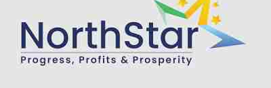 North Star Global Cover Image