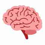 Modafinil Shop profile picture