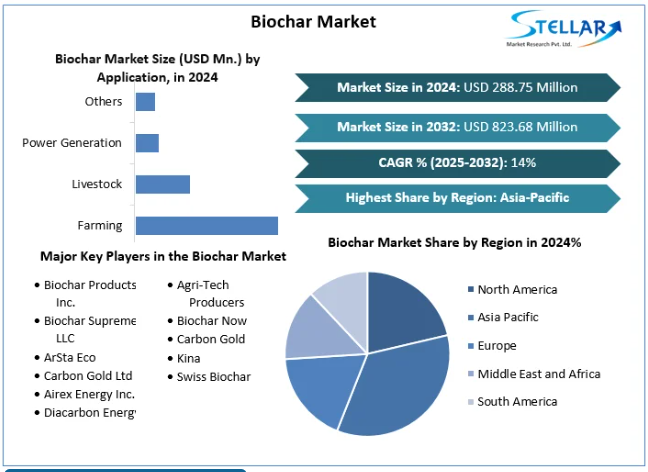 Biochar Market Demand, Size, Share, Price, Trends, Growth, Analysis, Report, Forecast 2025-2032 - GAMESBAD BLOG