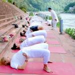 Himalayan Yoga Ashram profile picture