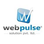 Webpulse Solution Pvt Ltd Profile Picture