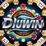 diuwin game Profile Picture