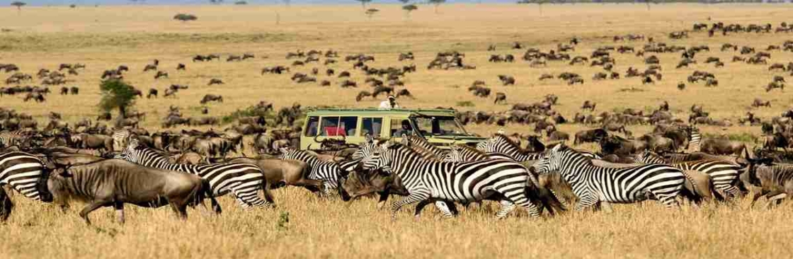 Kimgoni Tanzania Safaris Cover Image