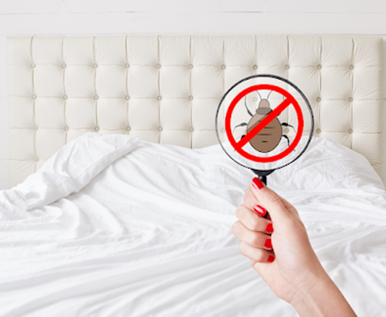 Effective Bed Bug and Roach Control in Leicester