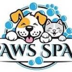 Paws spas Profile Picture