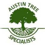 Austin Tree Specialists Profile Picture