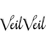 Veil veil Profile Picture