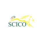 scico in Profile Picture