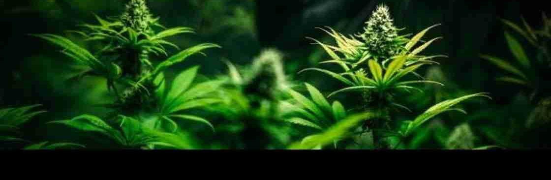 PureRoots Botanicals Cover Image