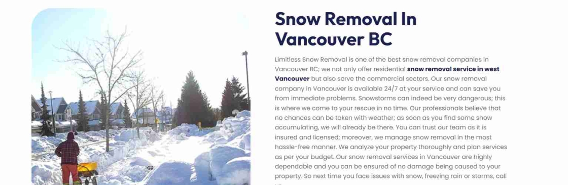 Limitless Snow Removal Cover Image