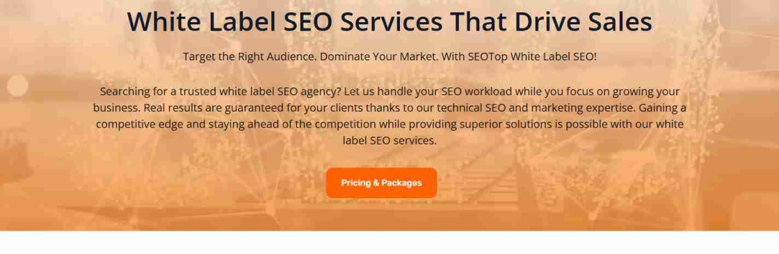 seo white label partner Cover Image