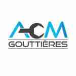 acmgouttieres profile picture