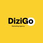 Dizigo Solutions Profile Picture
