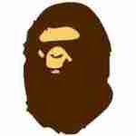 BAPE Hoodie Store Profile Picture