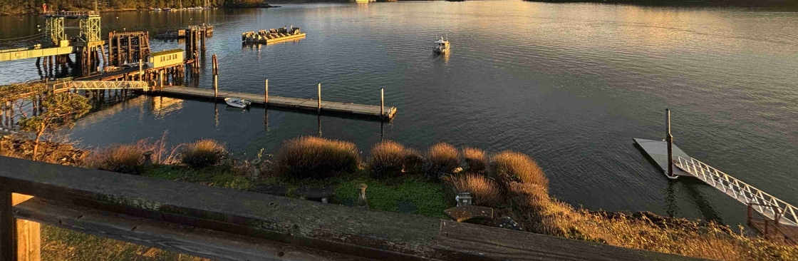 The Landing At Orcas Cover Image
