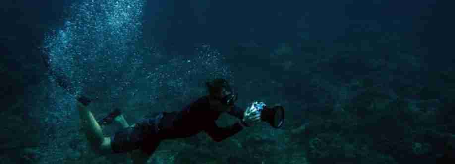 Petro Divers Cover Image