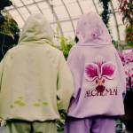 Alchemai 123 Profile Picture