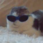 Mojito Greeen Profile Picture