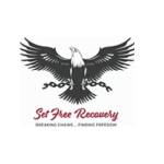 setfreerecovery Profile Picture
