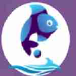 Fish Eye Advertising Profile Picture