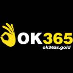 Ok 365 Profile Picture